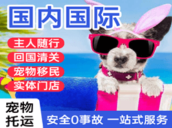 宜宾五粮液航空快运国际宠物托运 【国